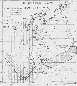 一都三県漁海況速報、関東・東海海況速報(1999/03/17)