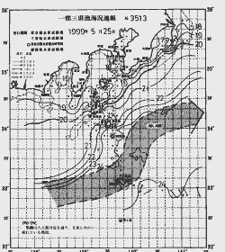 一都三県漁海況速報、関東・東海海況速報(1999/05/25)