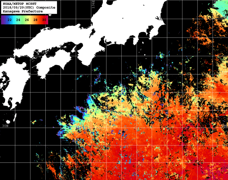 NOAA、MetOp 人工衛星画像 検索結果, 水温分布を図示