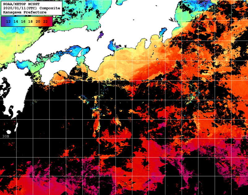 NOAA、MetOp 人工衛星画像 検索結果, 水温分布を図示