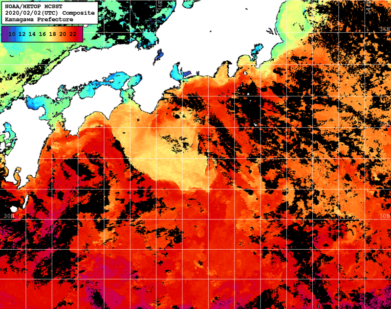 NOAA、MetOp 人工衛星画像 検索結果, 水温分布を図示