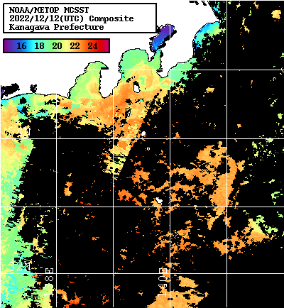 NOAA、MetOp 人工衛星画像 検索結果, 水温分布を図示