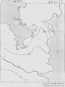 東京湾口海況図(1997/11/11)