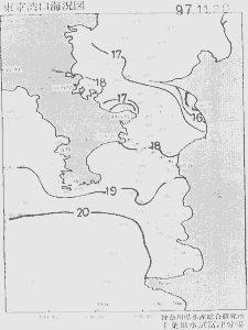 東京湾口海況図(1997/11/20)