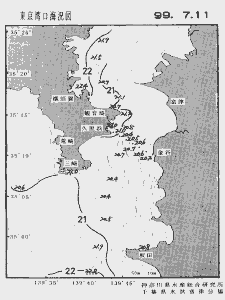 東京湾口海況図(1999/07/11)