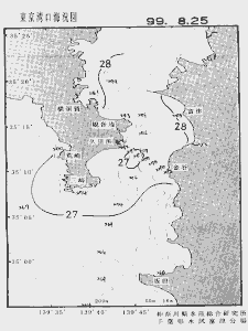東京湾口海況図(1999/08/25)