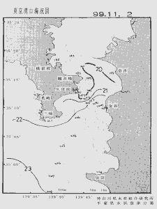 東京湾口海況図(1999/11/02)