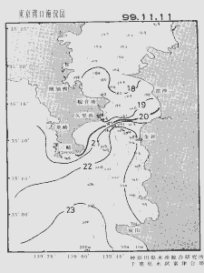 東京湾口海況図(1999/11/11)