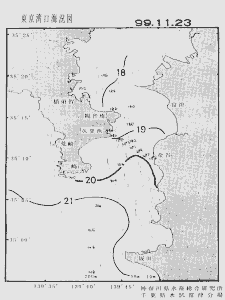 東京湾口海況図(1999/11/23)