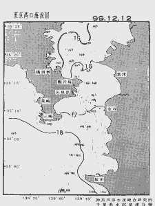 東京湾口海況図(1999/12/12)