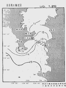 東京湾口海況図(2000/01/29)