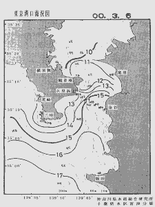 東京湾口海況図(2000/03/06)