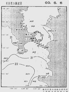 東京湾口海況図(2000/06/06)