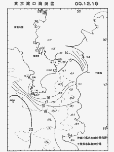 東京湾口海況図(2000/12/19)