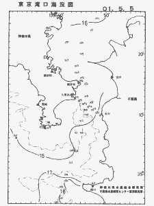 東京湾口海況図(2001/05/05)