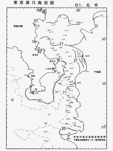 東京湾口海況図(2001/06/06)