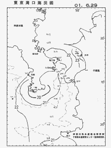 東京湾口海況図(2001/06/29)