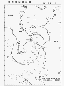 東京湾口海況図(2001/12/01)