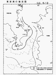 東京湾口海況図(2002/06/12)