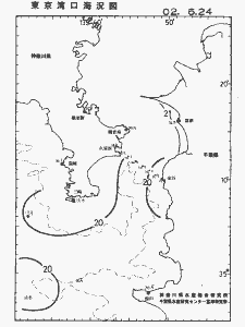 東京湾口海況図(2002/06/24)
