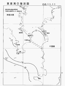 東京湾口海況図(2002/11/11)