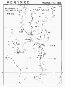 東京湾口海況図(2003/06/06)