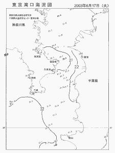 東京湾口海況図(2003/06/17)