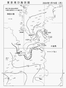 東京湾口海況図(2004/01/19)