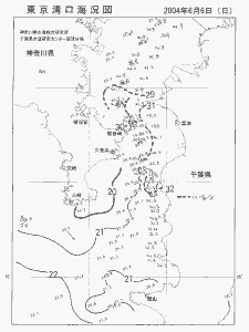 東京湾口海況図(2004/06/06)