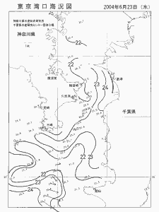 東京湾口海況図(2004/06/23)