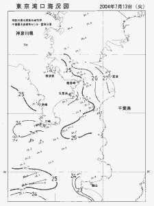 東京湾口海況図(2004/07/13)