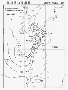 東京湾口海況図(2005/01/29)
