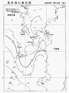 東京湾口海況図(2005/11/23)