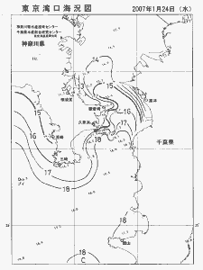 東京湾口海況図(2007/01/24)
