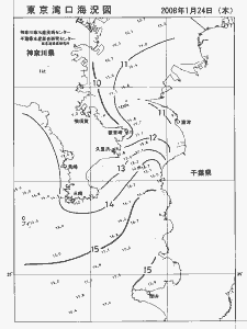 東京湾口海況図(2008/01/24)