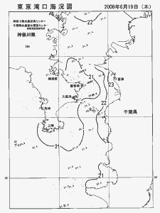 東京湾口海況図(2008/06/19)