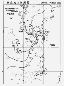 東京湾口海況図(2008/11/29)