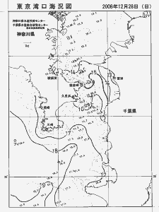 東京湾口海況図(2008/12/28)