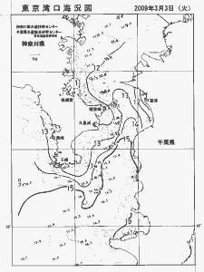 東京湾口海況図(2009/03/03)