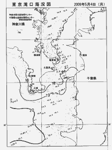 東京湾口海況図(2009/05/04)
