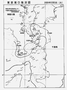 東京湾口海況図(2009/05/05)