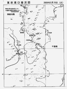 東京湾口海況図(2009/05/19)