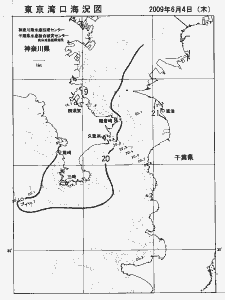 東京湾口海況図(2009/06/04)