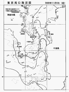 東京湾口海況図(2009/11/06)