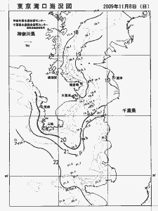 東京湾口海況図(2009/11/08)
