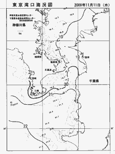 東京湾口海況図(2009/11/11)