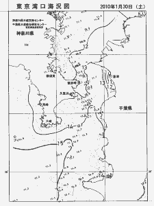 東京湾口海況図(2010/01/30)