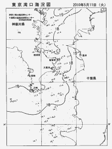 東京湾口海況図(2010/05/11)