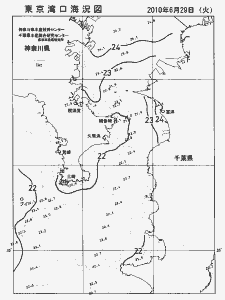 東京湾口海況図(2010/06/29)