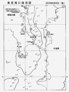 東京湾口海況図(2010/08/06)